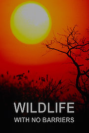 Wildlife With No Barriers