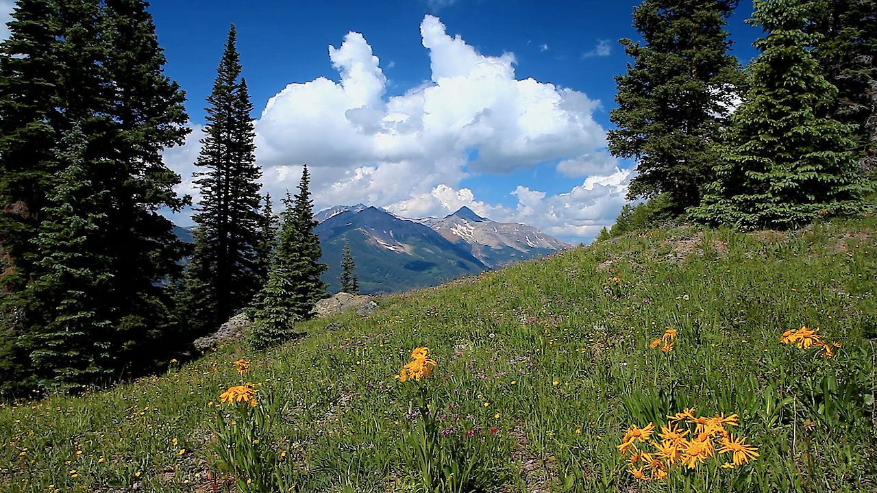 15 Minute Mountain Sleep Visualization