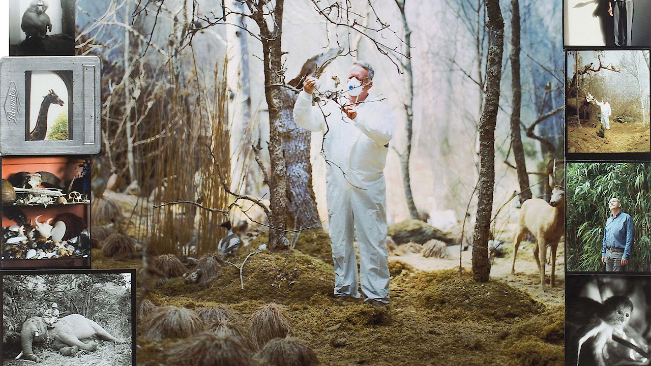 Curiosity and Control