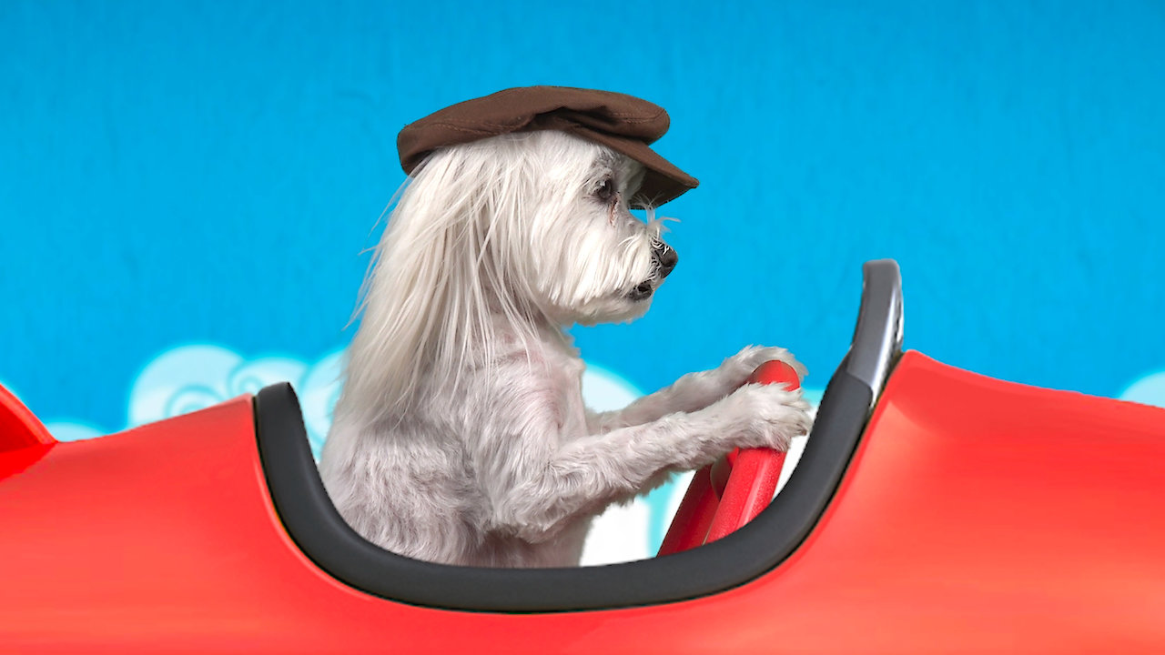 Pup School: Up in the Clouds