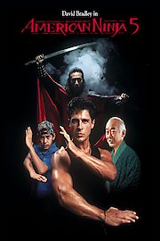 American Ninja 5