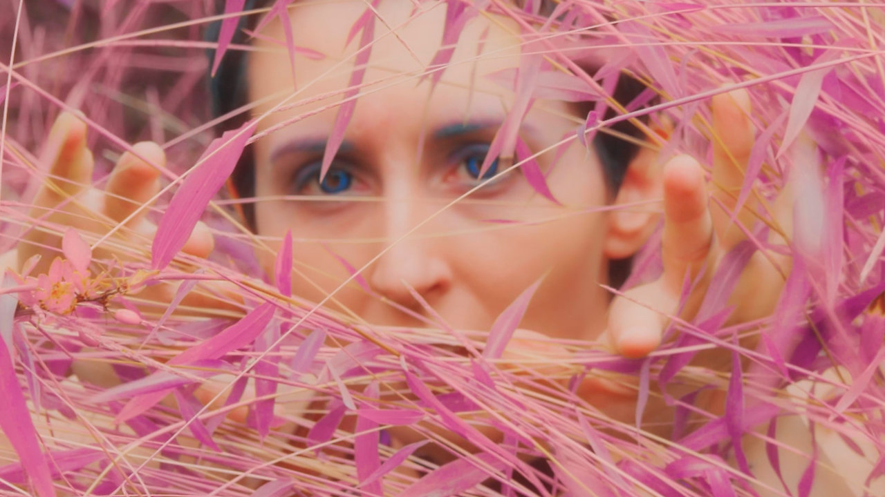 Midsummer Night's Run