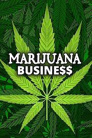 Marijuana Business