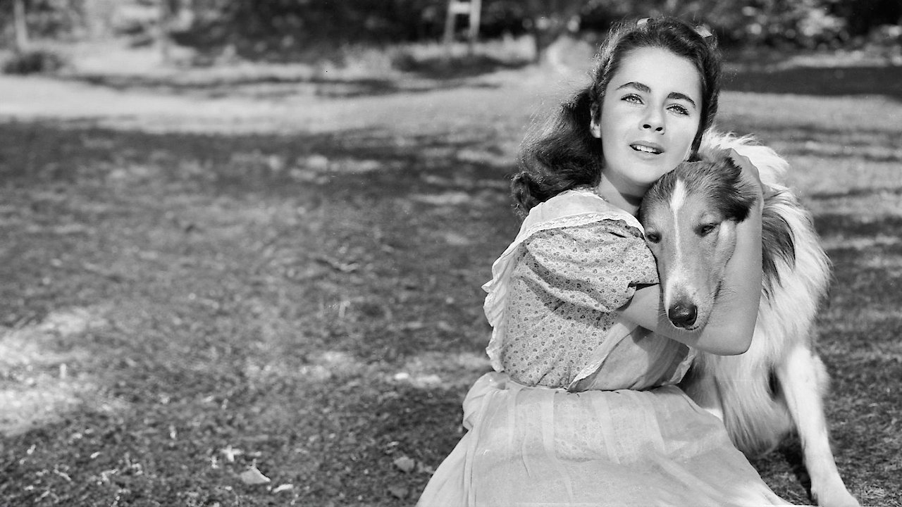 The Courage of Lassie