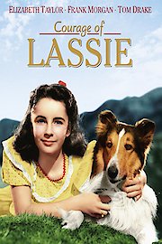 The Courage of Lassie