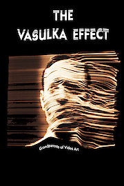 The Vasulka Effect