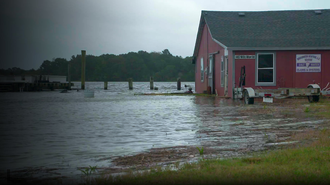Against the Current: Life on the Eastern Shore