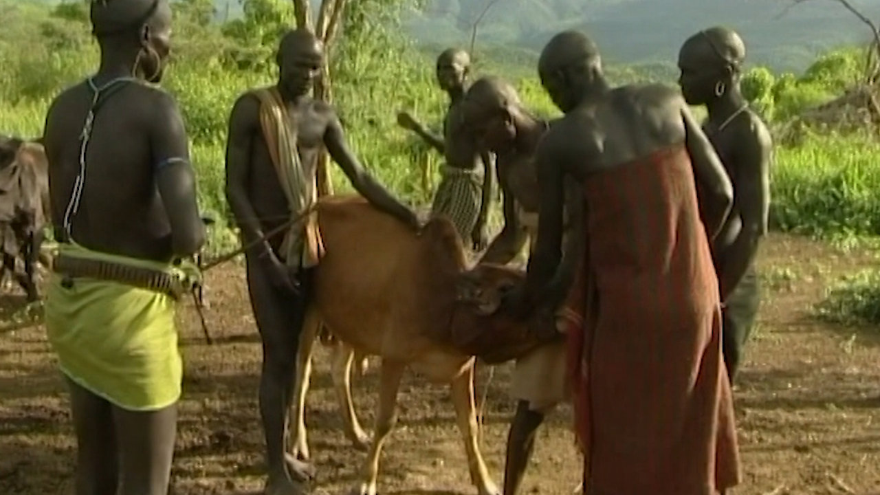 Mursi, Beauty and Tradition