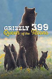 Grizzly 399: Queen of the Tetons