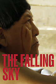The Falling Sky