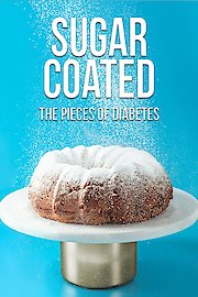 Sugar Coated The Pieces of Diabetes