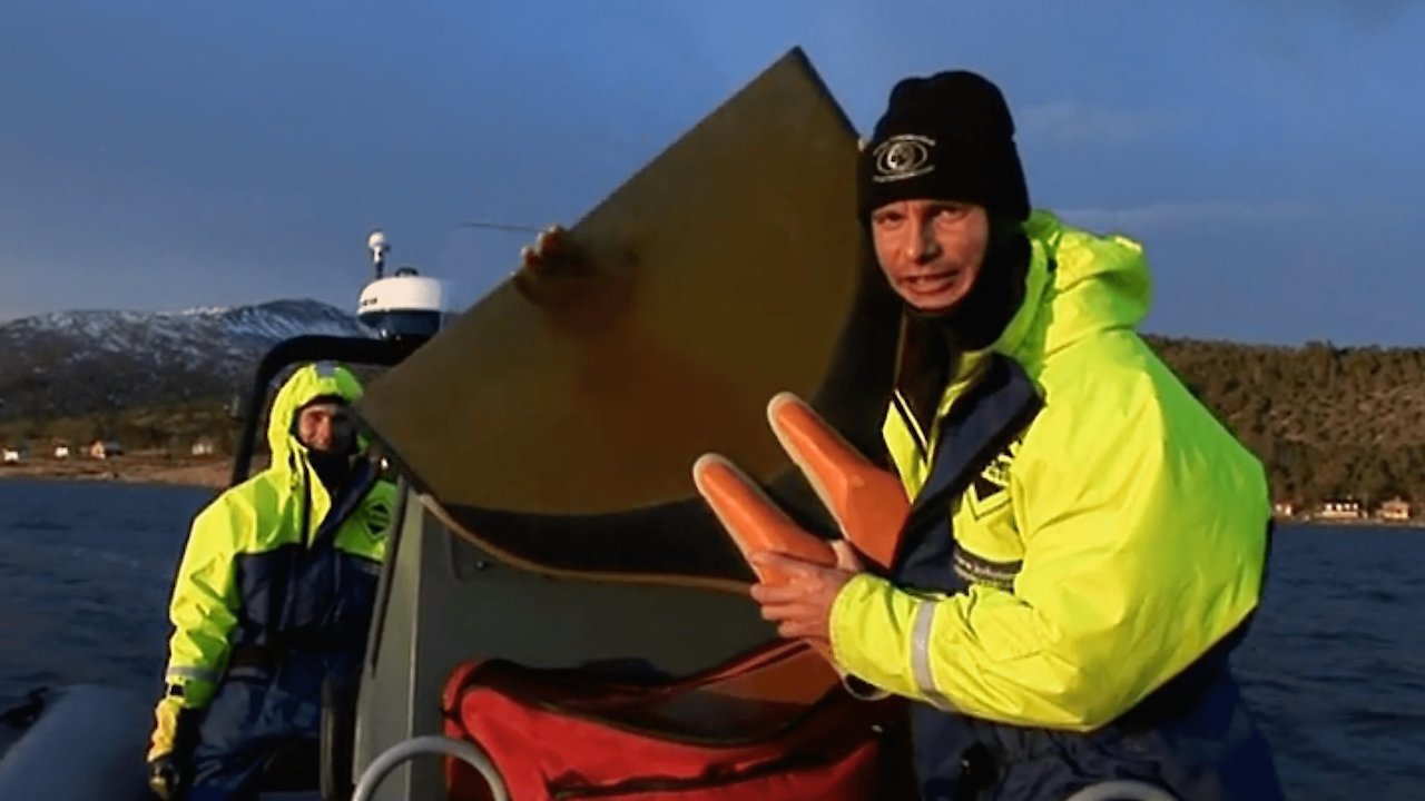 Free Diving With Killer Whales