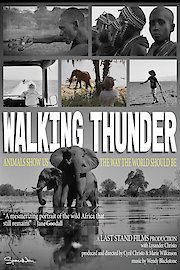 Walking Thunder