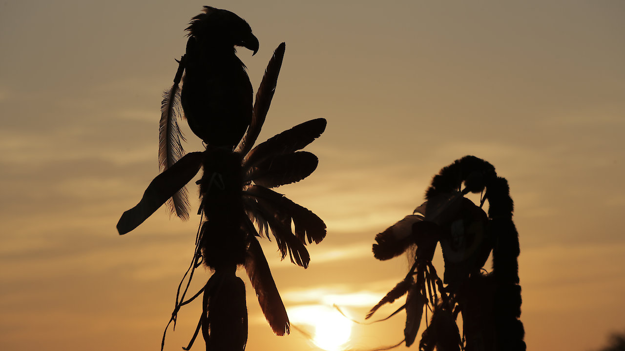 The Missing and Murdered