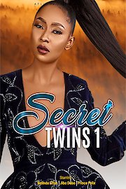 Secret Twins 1