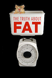 The Truth About Fat
