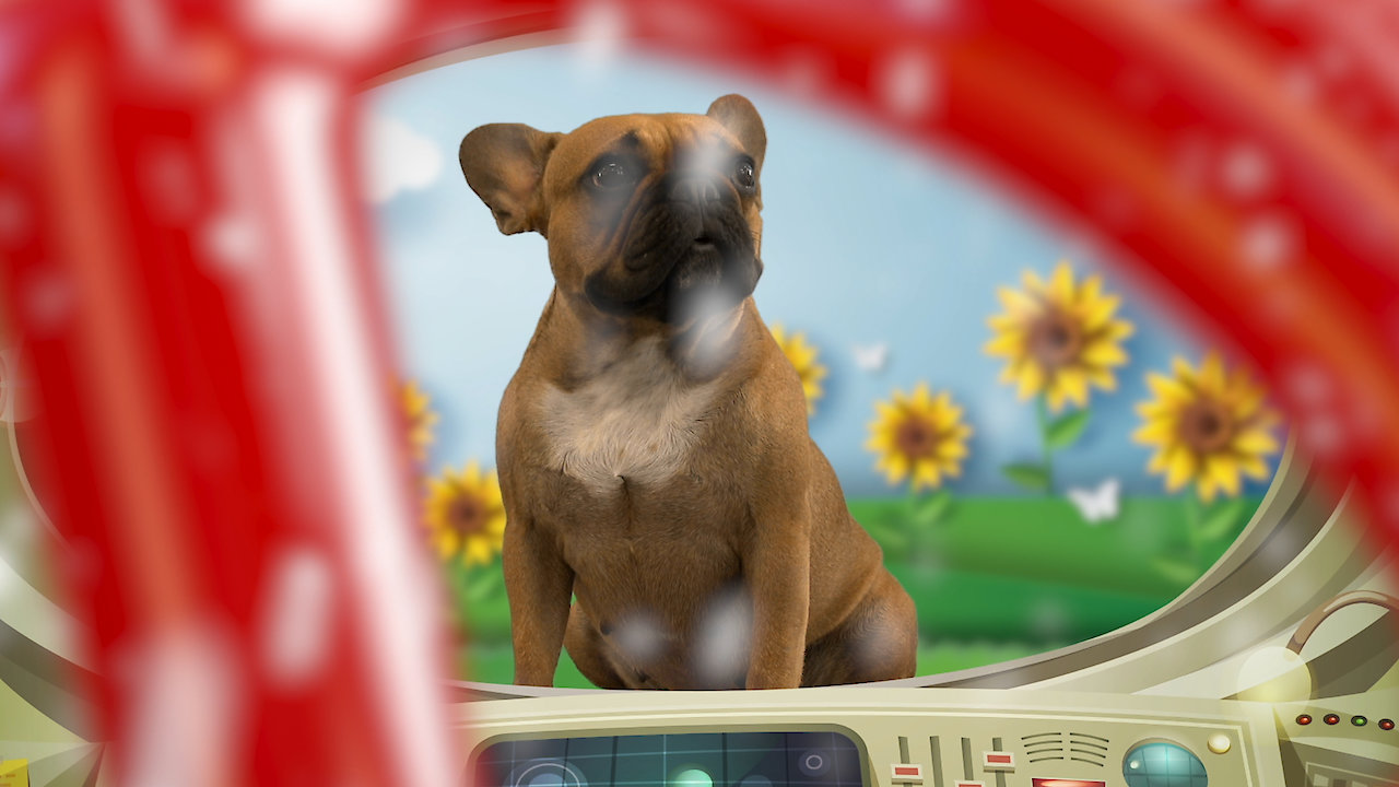 Pup School: Arctic Adventure