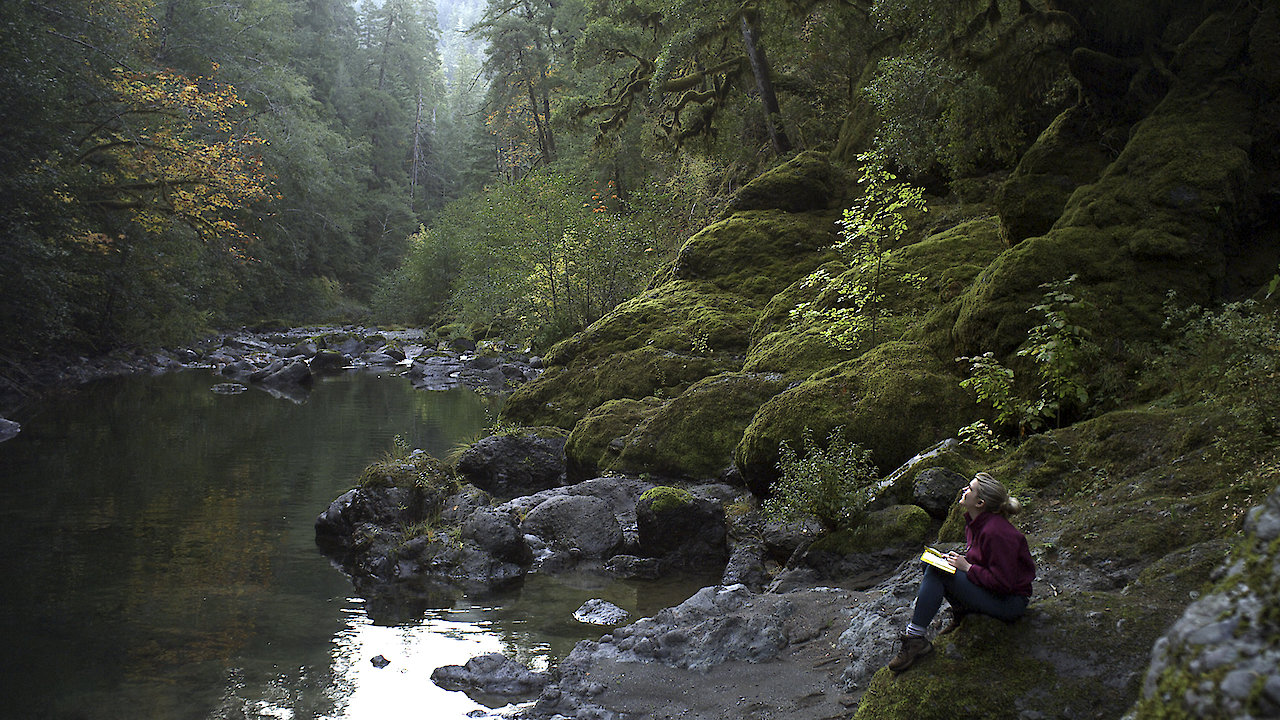 Letters From the Big Man