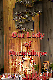 Our Lady of Guadalupe