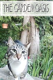 The Garden Oasis