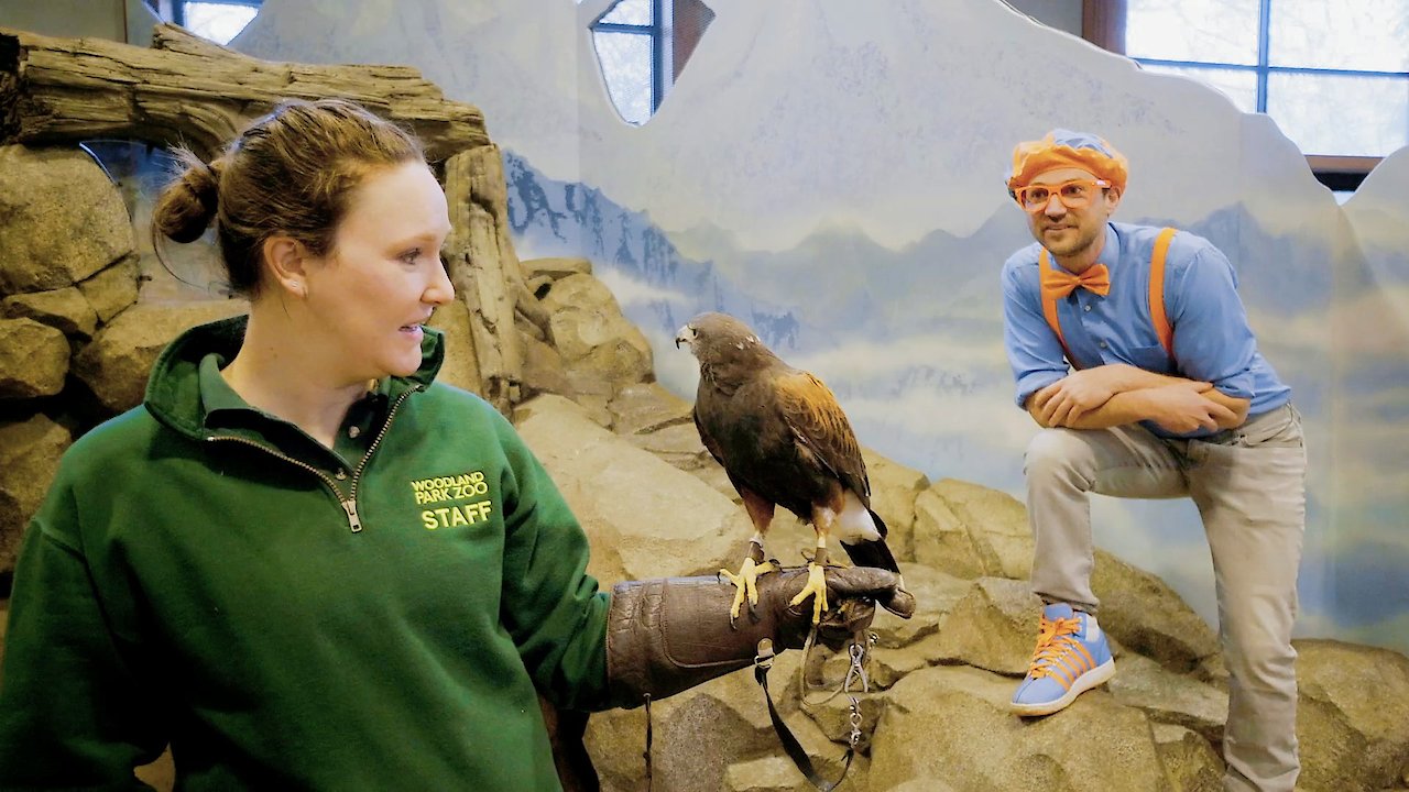 Blippi Explores - Learn about Animals at the Zoo & more!