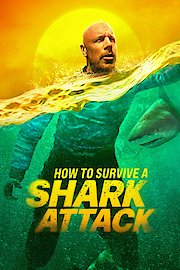 How to Survive a Shark Attack