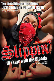 Slippin': 10 Years with The Bloods