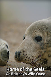 Home of the Seals