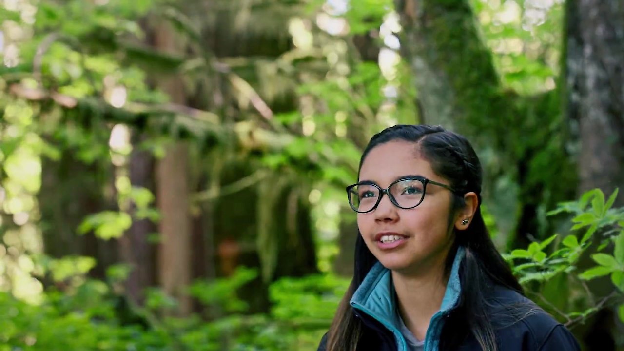 Great Bear Rainforest