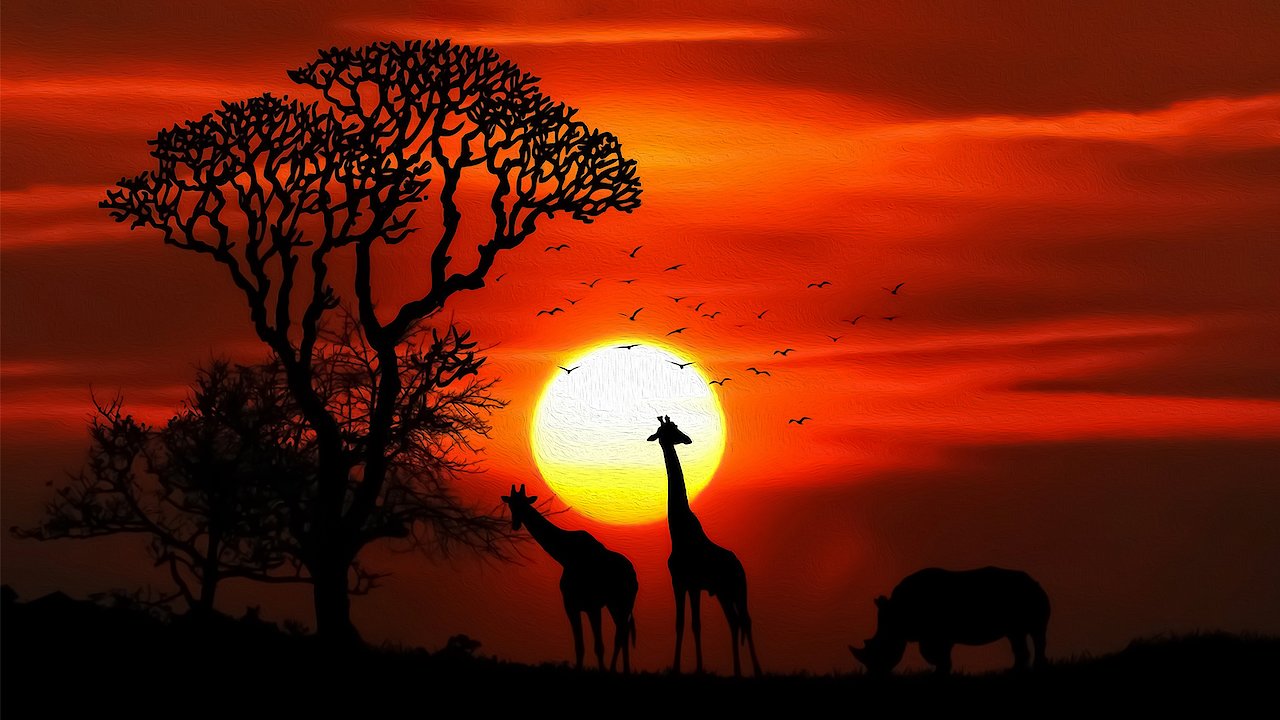 Mobutu's African Movie Theater: Episode 5