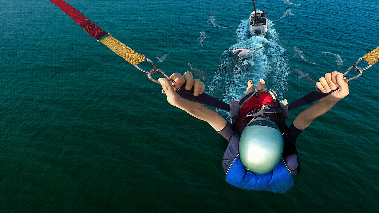 Caught! Sharks Strike Back