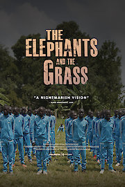The Elephants and the Grass