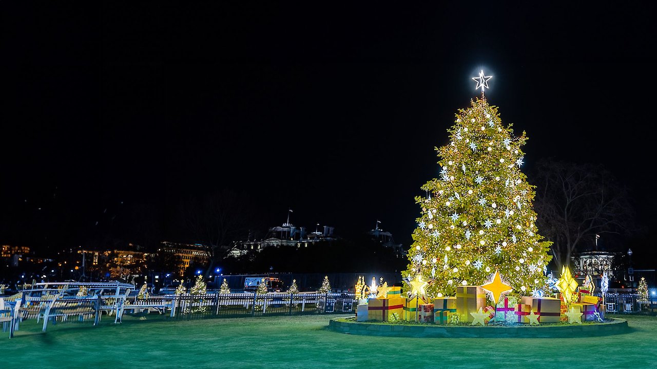 The National Christmas Tree: A Century of Celebration