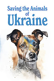 Saving the Animals of Ukraine