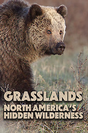 Grasslands: North America's Hidden Wilderness