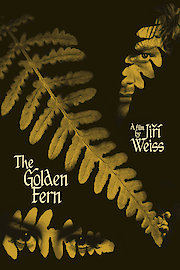 The Golden Fern