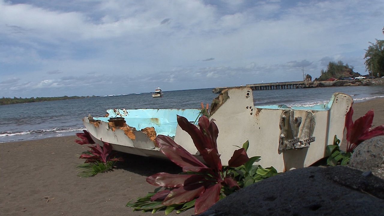 The Sarah Joe: Hana Remembers Her Sons