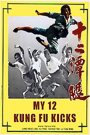 My Kung Fu 12 Kicks