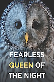 Fearless Queen of the Night