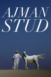 Ajman Stud