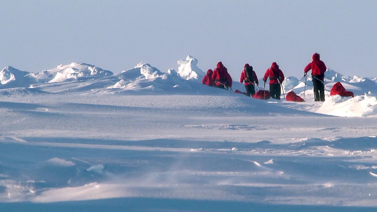 A Royal Year to Remember