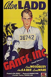 Gangs, Inc.