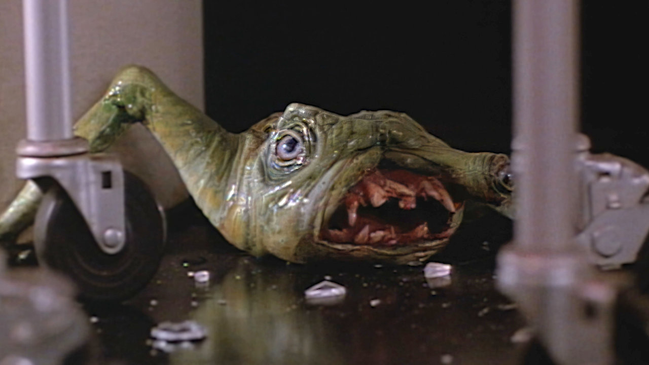 The Alien Factor Metamorphosis