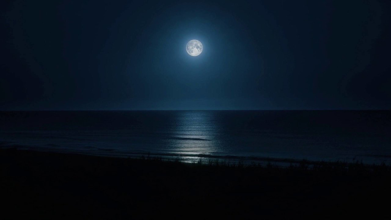 Zen Sleep: Sleepiest Piano Lullabies