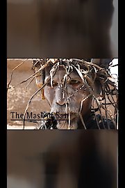 The Mask from San