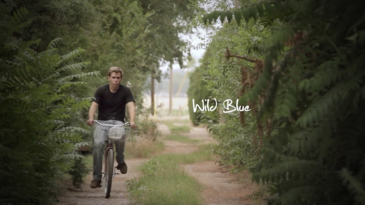 Wild Blue