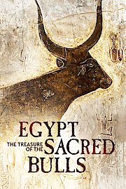Egypt The Treasure of the Sacred Bulls