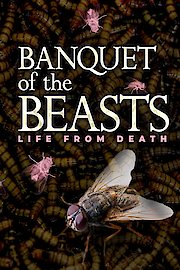 Banquet of the Beasts