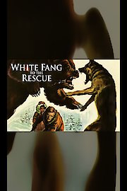 White Fang to the Rescue