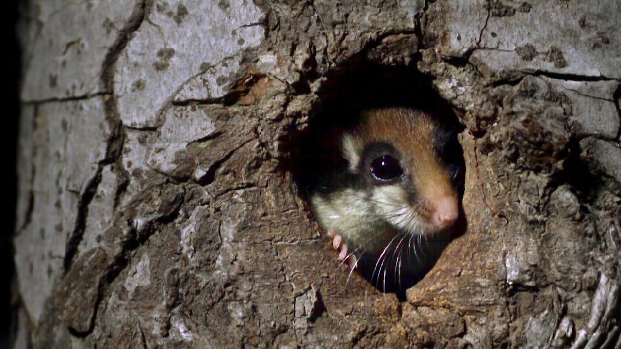 Slow Down And Enjoy Life